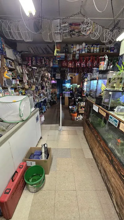 Animal House Picture 1