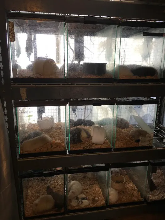 Animal House Picture 7