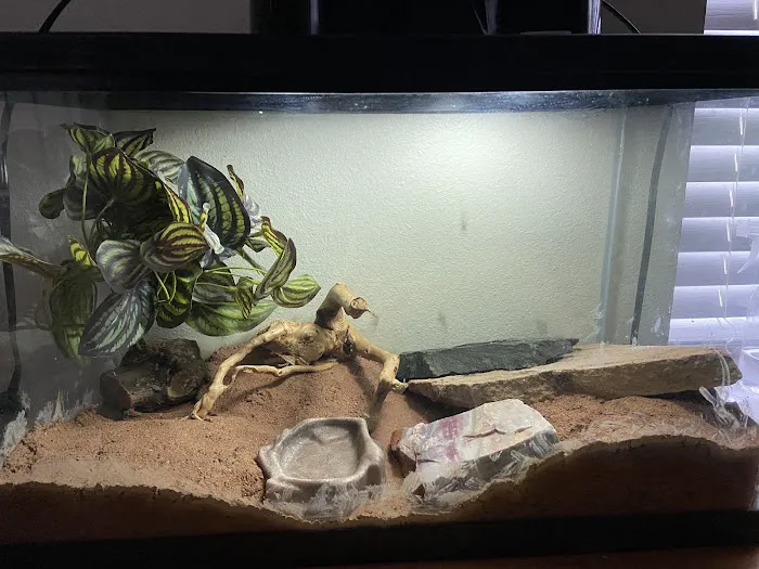Ramsdell's Reptile Room LLC Picture 9