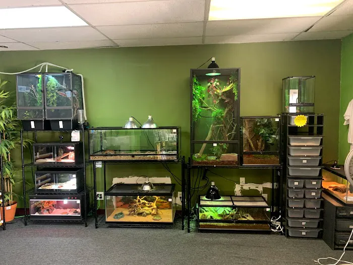 Ramsdell's Reptile Room LLC Picture 7