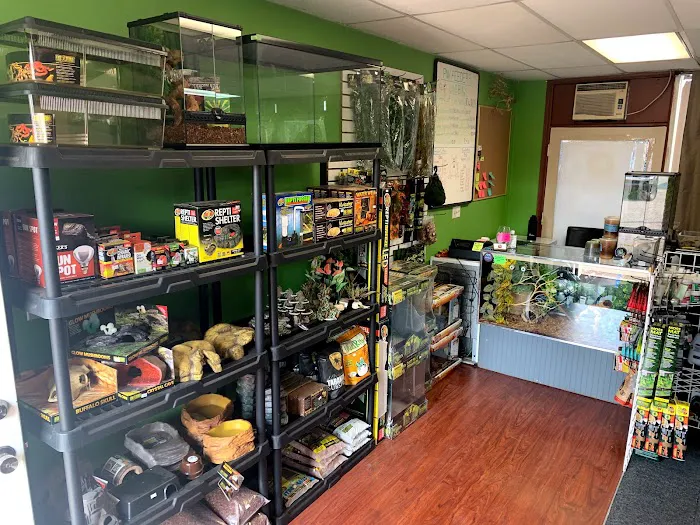 Ramsdell's Reptile Room LLC Picture 2