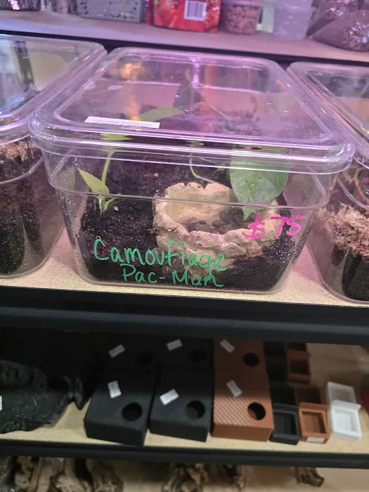 Ramsdell's Reptile Room LLC Picture 10