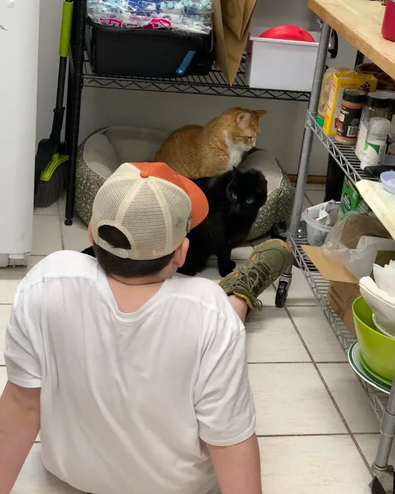 Clinton Veterinary Hospital Picture 3