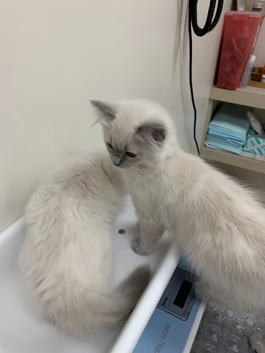 Clinton Veterinary Hospital Picture 2