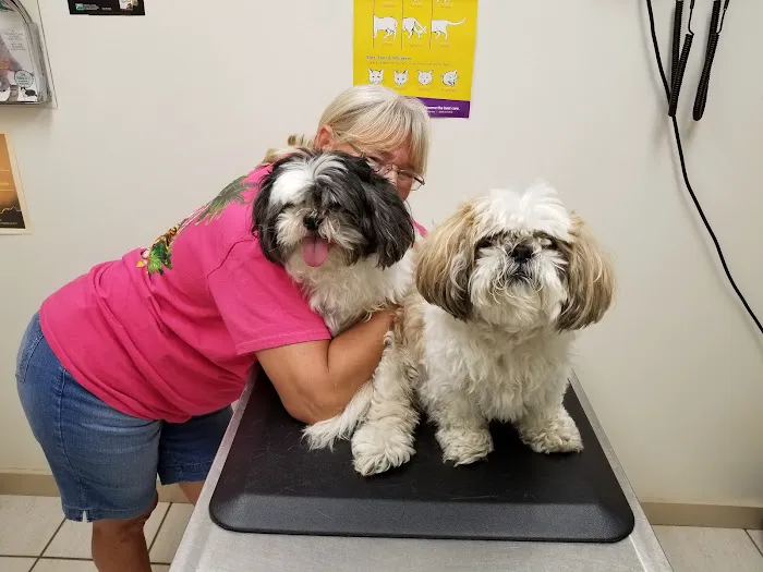 Clinton Veterinary Hospital Picture 1