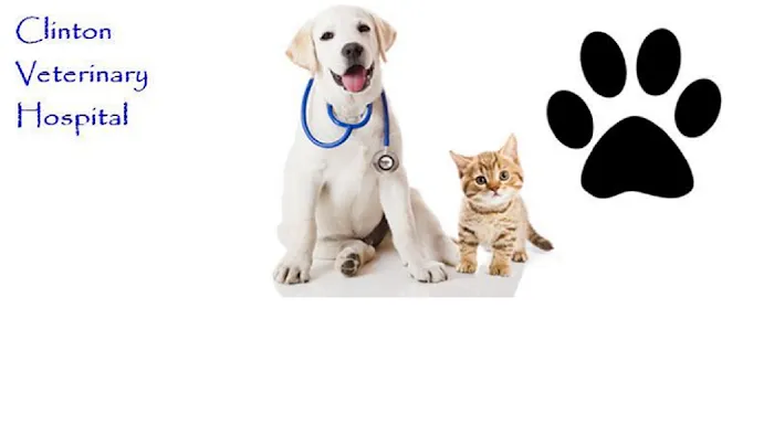 Clinton Veterinary Hospital Picture 10