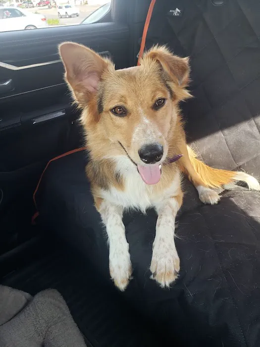 Clinton Veterinary Hospital Picture 6