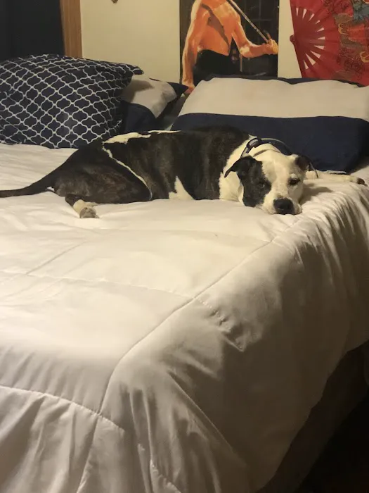 Clinton Veterinary Hospital Picture 8