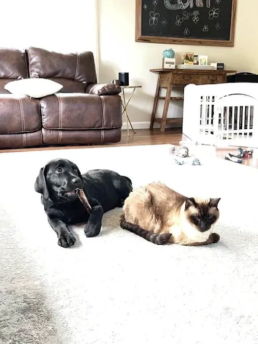 Leominster Animal Hospital Picture 1