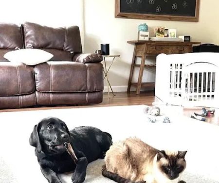 Leominster Animal Hospital