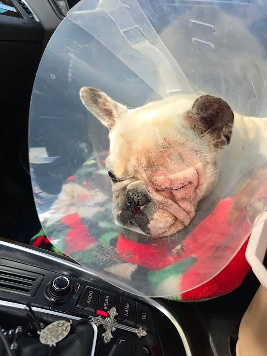 Leominster Animal Hospital Picture 6