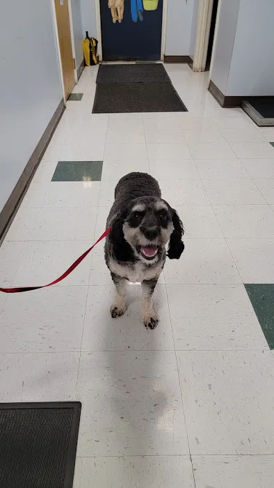 Leominster Animal Hospital Picture 7