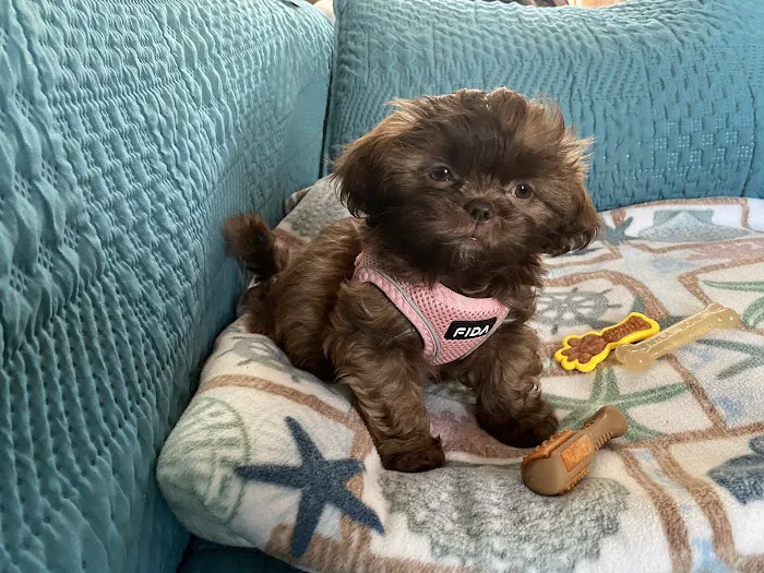 Leominster Animal Hospital Picture 5