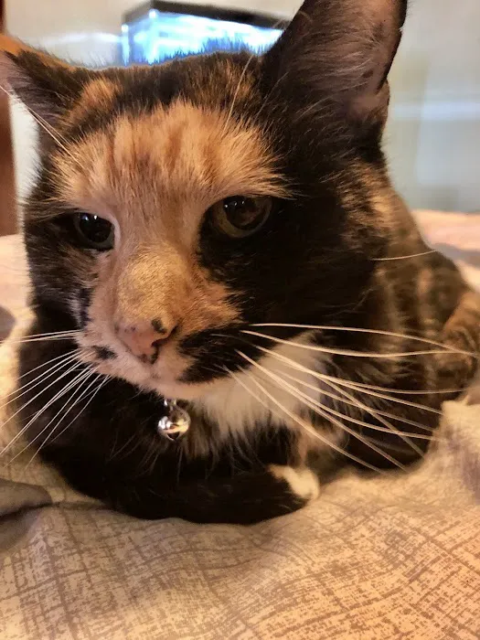 Leominster Animal Hospital Picture 4