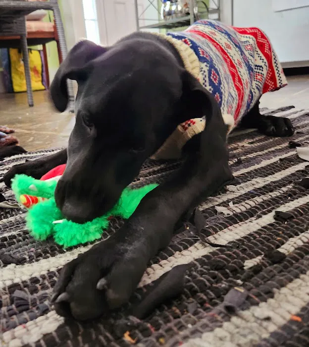 VCA Lancaster Animal Hospital Picture 5