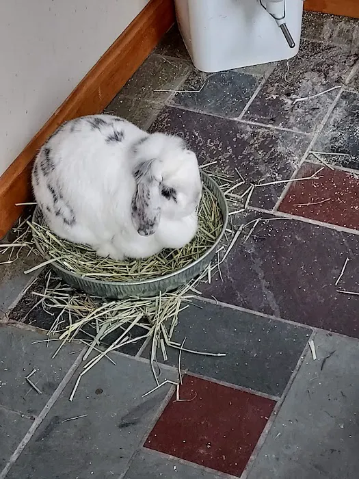 VCA Lancaster Animal Hospital Picture 9