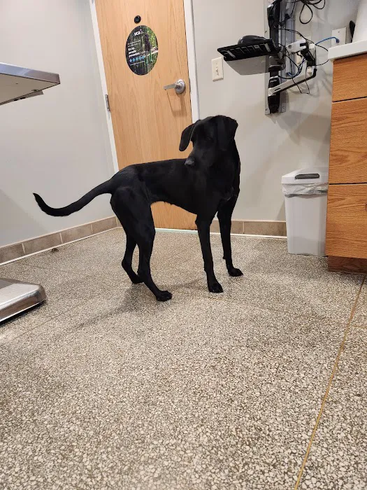 VCA Lancaster Animal Hospital Picture 3