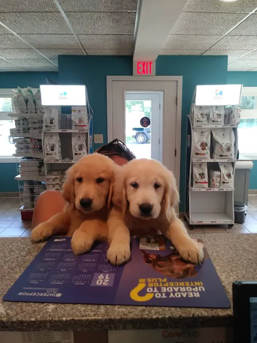 VCA Lancaster Animal Hospital Picture 4