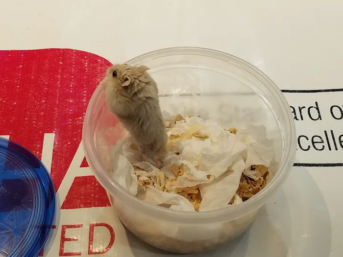 VCA Lancaster Animal Hospital Picture 1