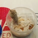 VCA Lancaster Animal Hospital