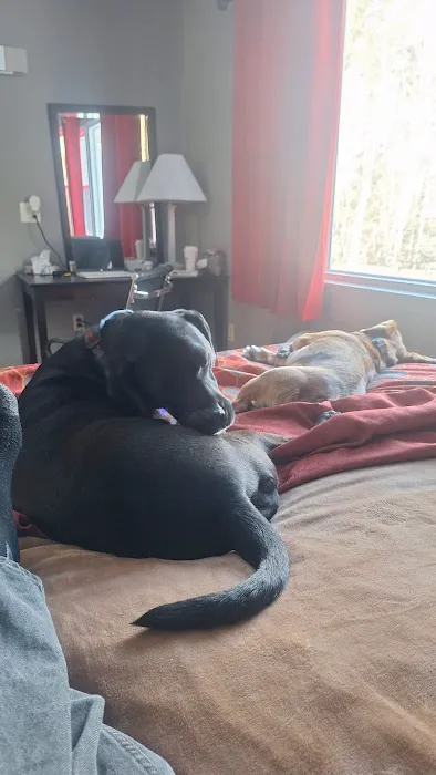 Banfield Pet Hospital Picture 5