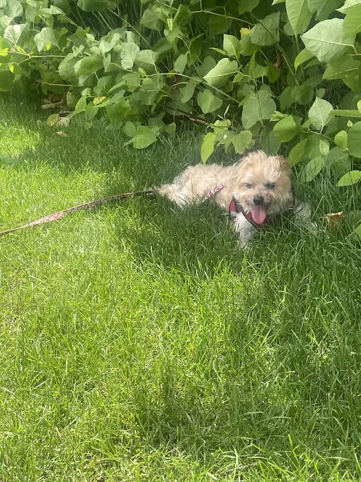 Banfield Pet Hospital Picture 9