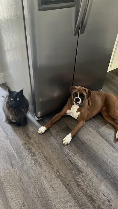 Banfield Pet Hospital Picture 10