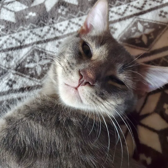 Banfield Pet Hospital Picture 8