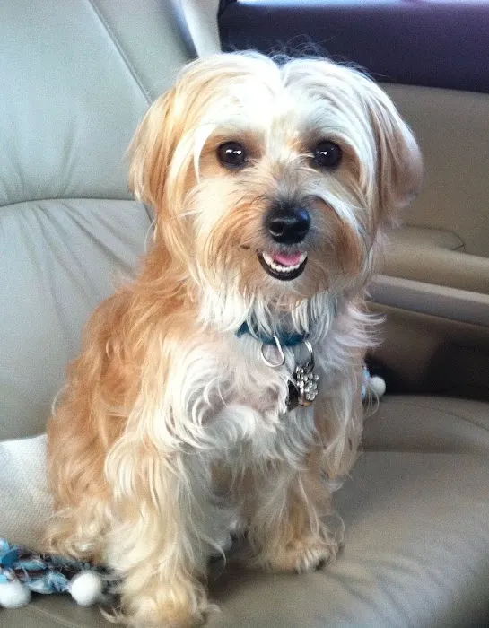 Banfield Pet Hospital Picture 7