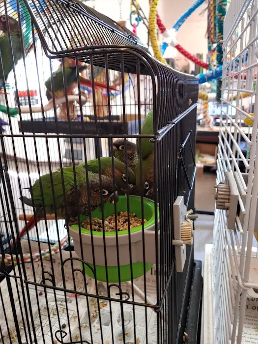 Bird Hut Inc. Picture 9