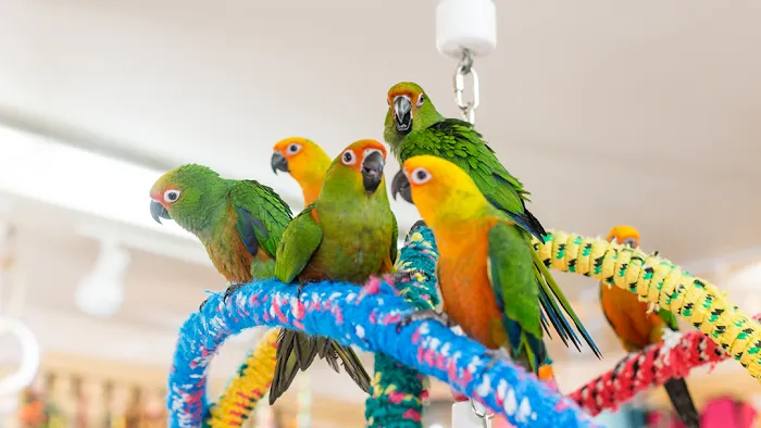 Bird Hut Inc. Picture 1