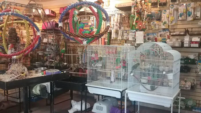 Bird Hut Inc. Picture 2