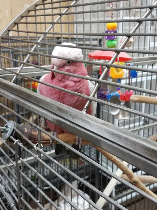 Bird Hut Inc. Picture 7