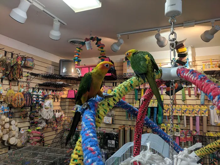 Bird Hut Inc. Picture 8