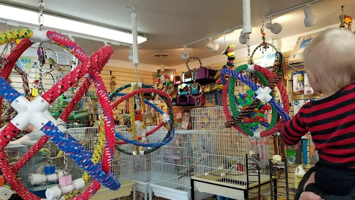 Bird Hut Inc. Picture 5