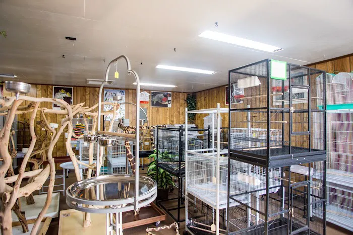 Bird Hut Inc. Picture 3