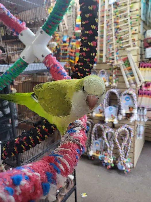 Bird Hut Inc. Picture 4