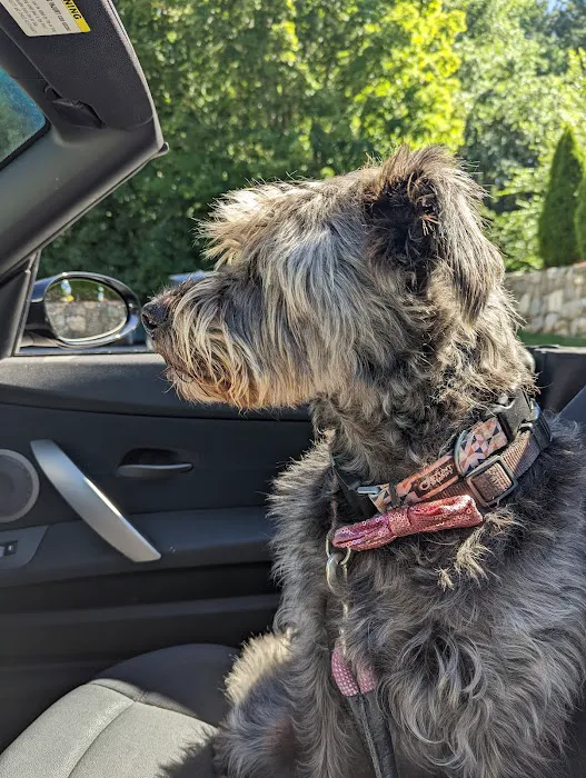 Integrative Animal Health Picture 9