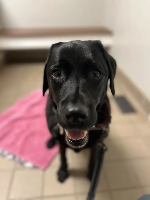 Integrative Animal Health Picture 10