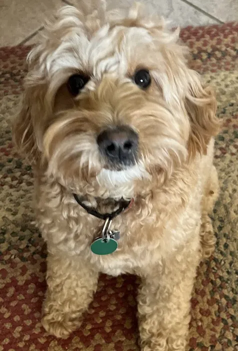 Fieldstone Veterinary Care Picture 10