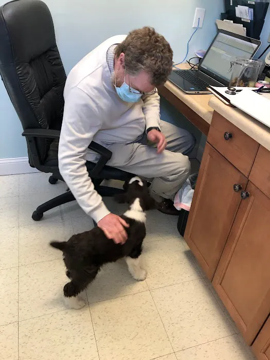 Kent Animal Clinic Picture 3