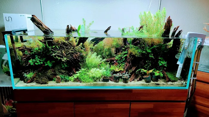 Aquascaping Supply Picture 4