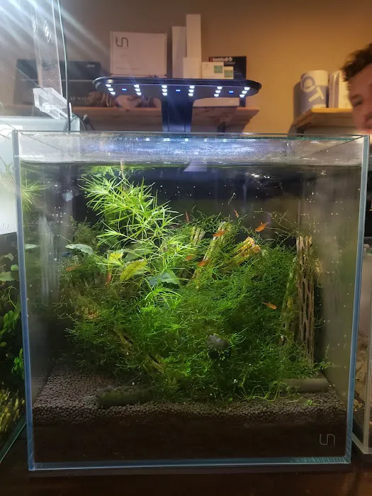 Aquascaping Supply Picture 5