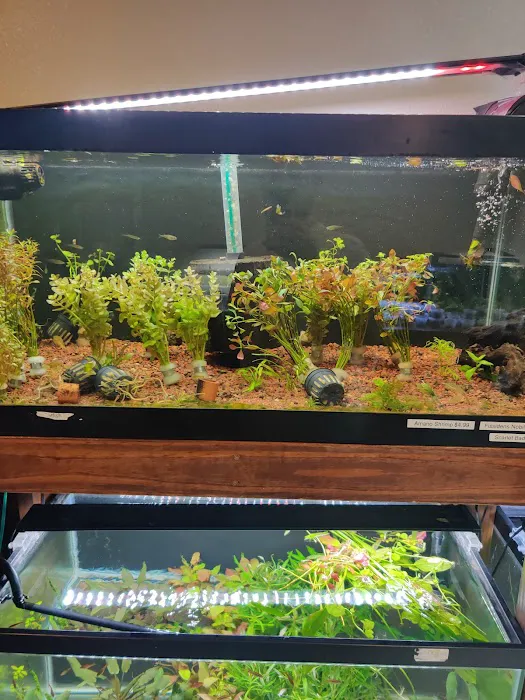 Aquascaping Supply Picture 1