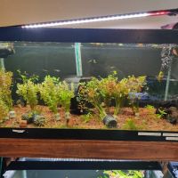 Aquascaping Supply ico