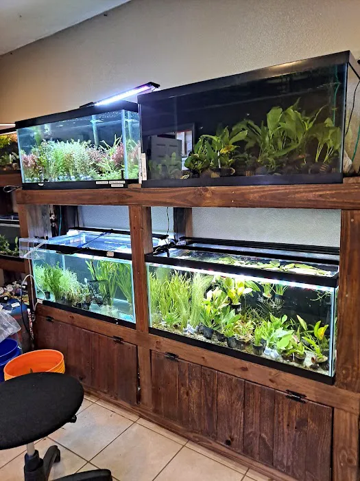 Aquascaping Supply Picture 9
