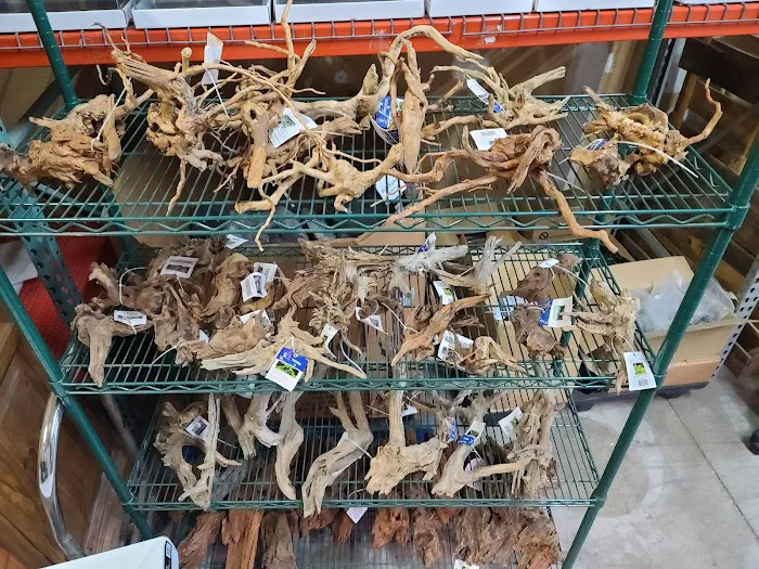 Aquascaping Supply Picture 2