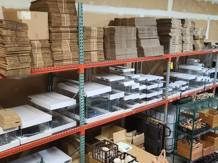 Aquascaping Supply Picture 3