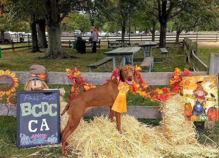 PatterPaws Animal Hospital Picture 4