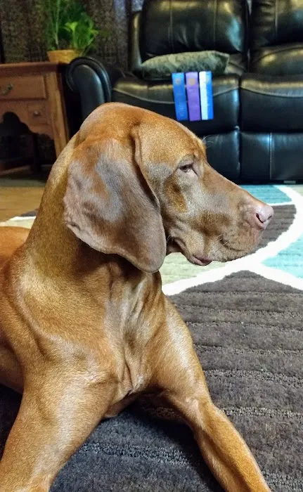 PatterPaws Animal Hospital Picture 1